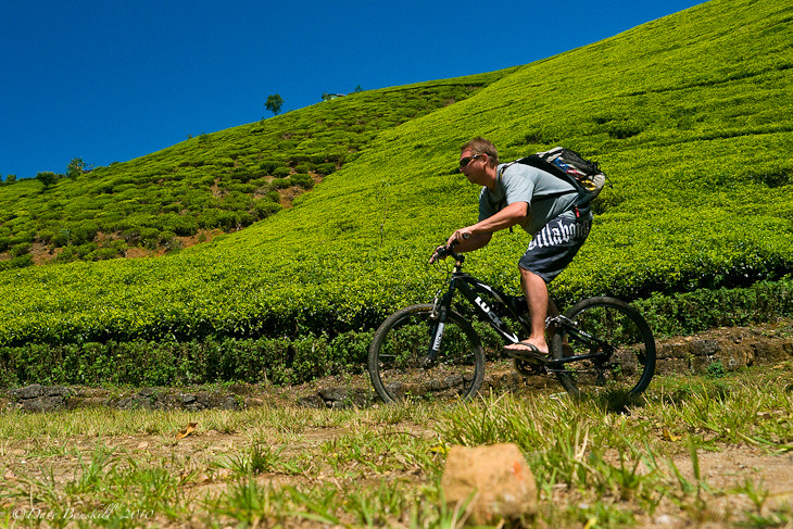 Cycling and Mountain Biking