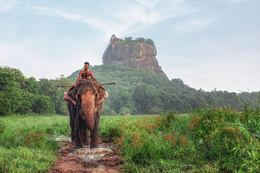 Sigiriya