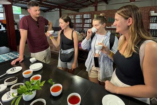 Tea Tasting Sessions